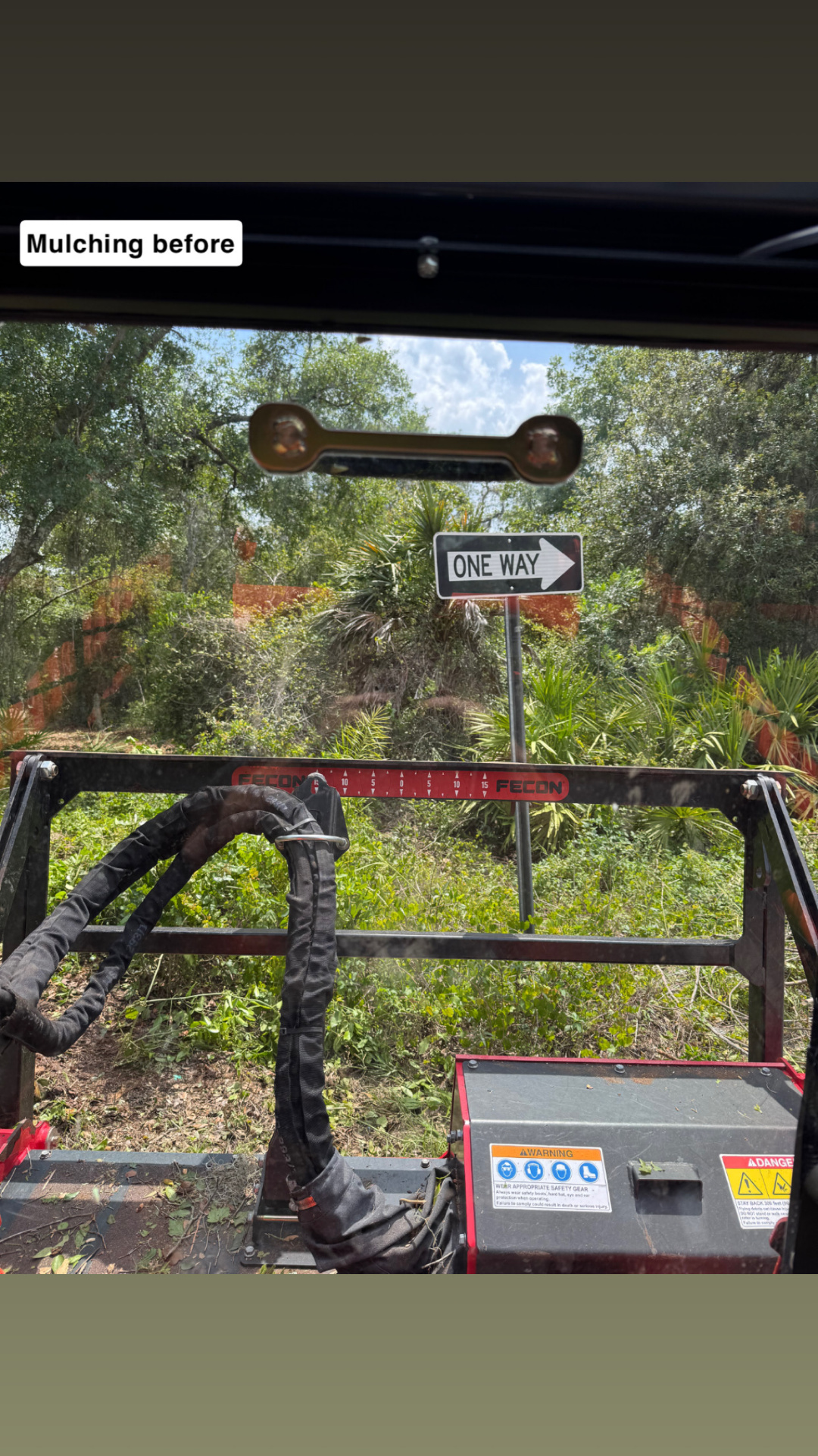Before forestry mulching — dense overgrown brush and palmettos near one-way sign in Volusia County, FL