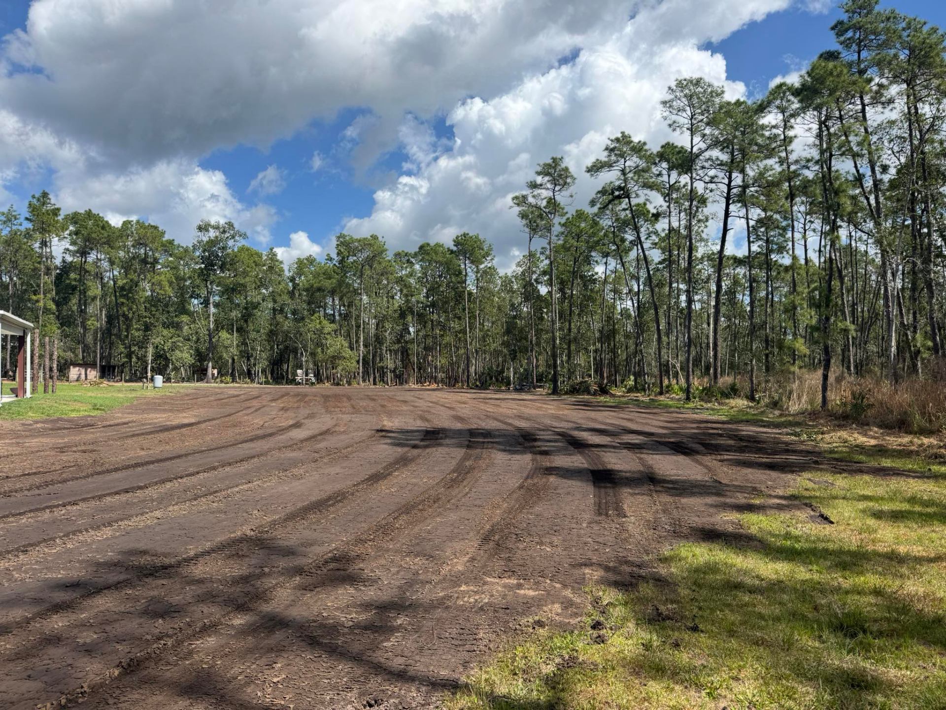 Large graded lot with equipment tracks leading toward tall pine tree line in Volusia County