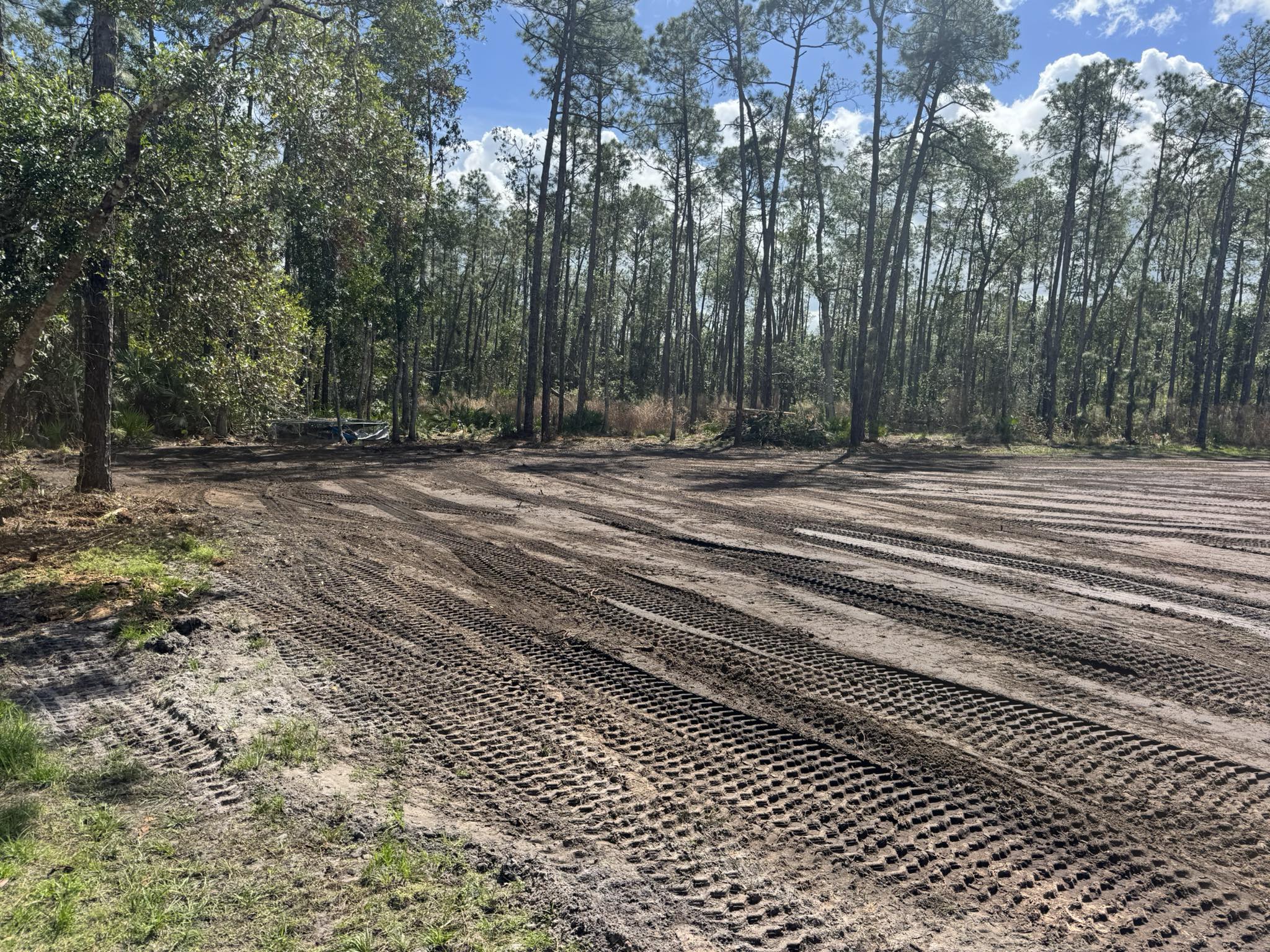 Large cleared and graded lot with skid steer tracks and pine tree line in Deltona, FL