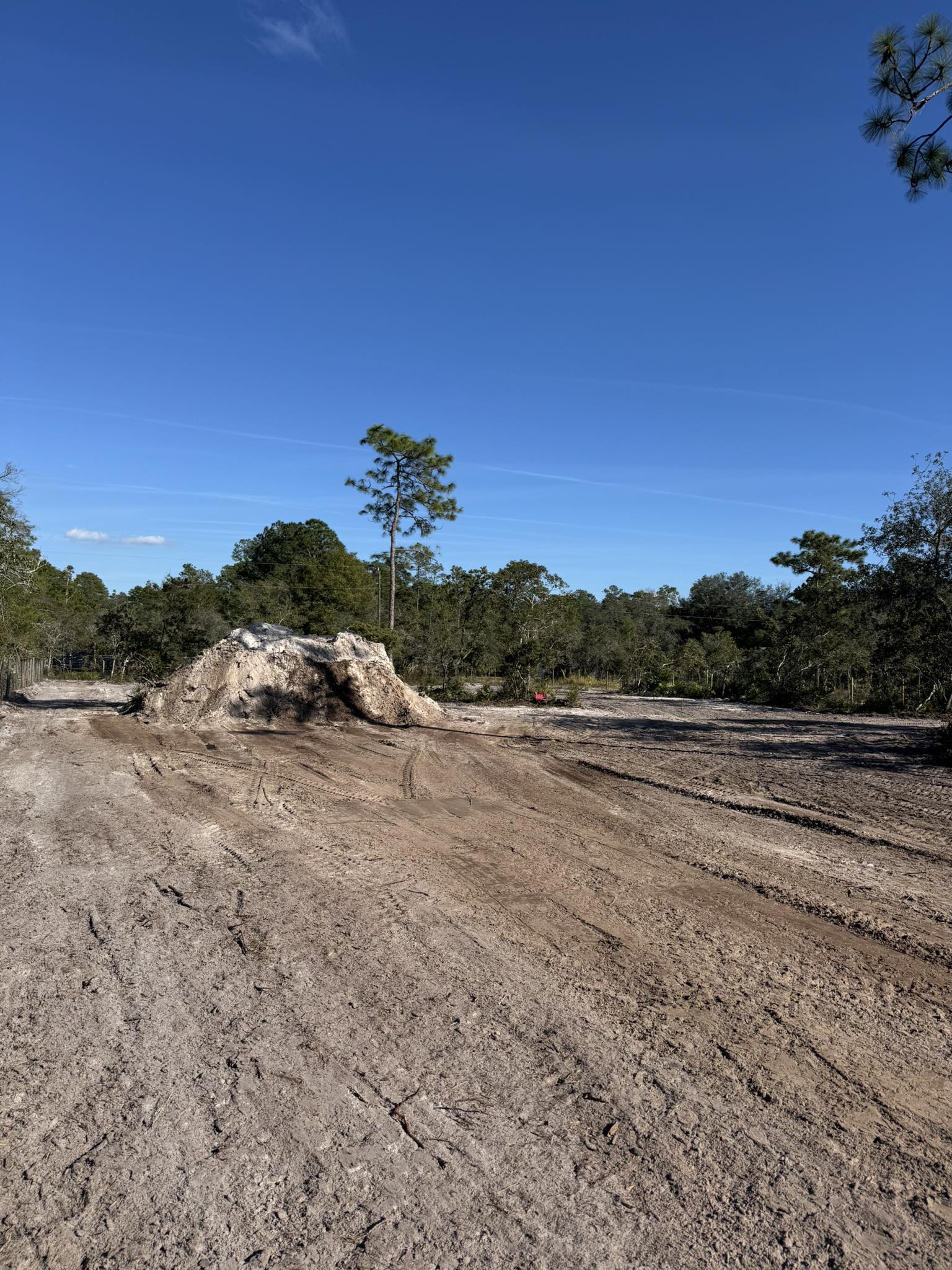 Cleared lot with large dirt pile and pine tree line in background in Volusia County, FL