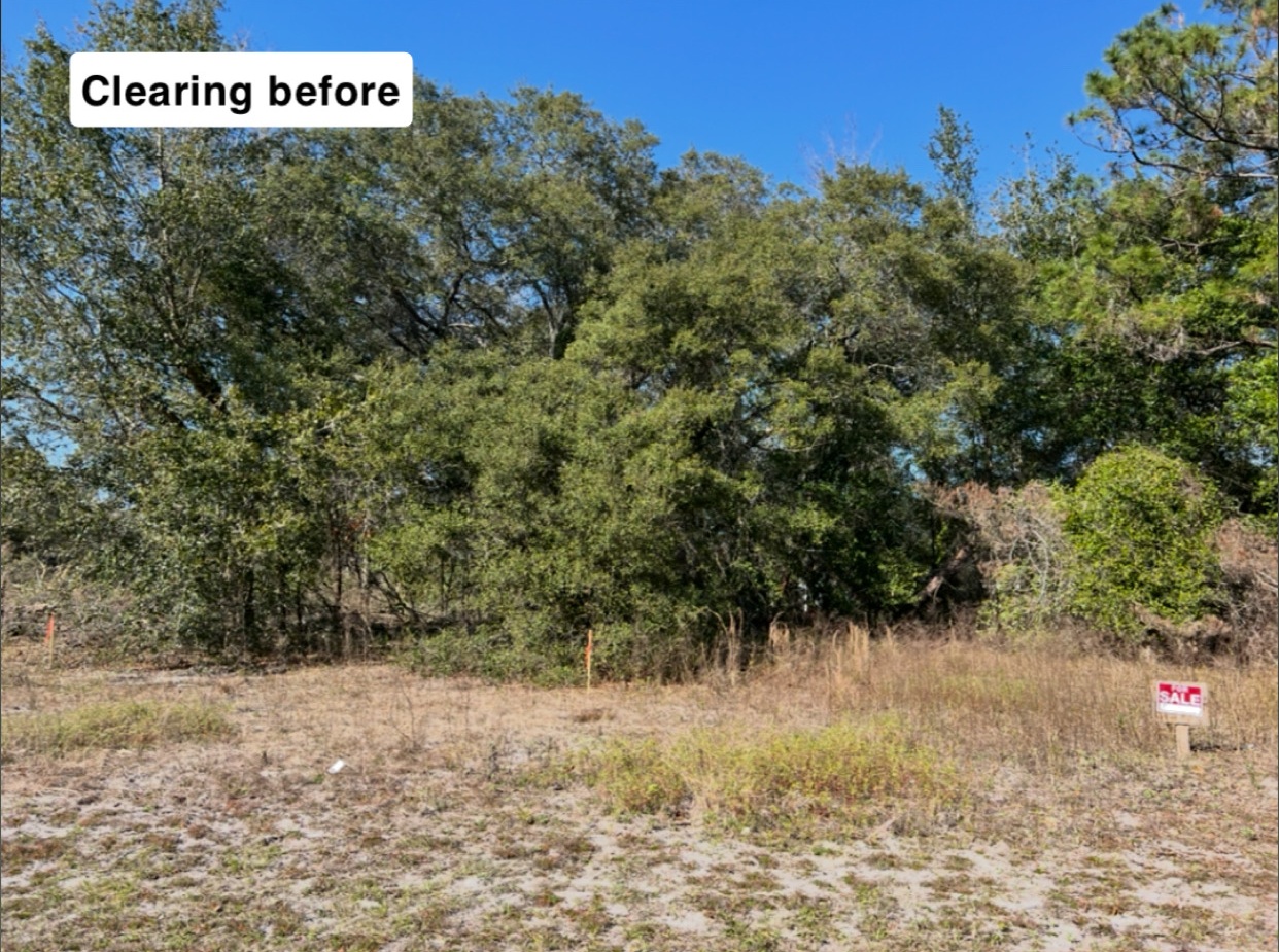 Before land clearing — overgrown vacant lot with dense oak canopy and for-sale sign in Volusia County, FL
