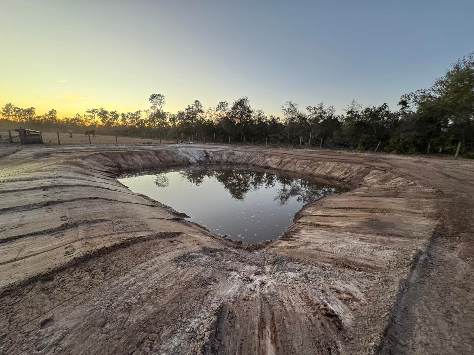 Wide view of excavated pond at sunset with graded banks and horse visible near fence line in Florida